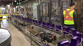 Bottling cartoner