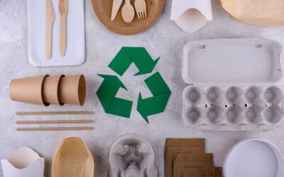 Sustainable Food Packaging: A Greener Future for Our Planet